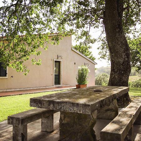 Maison d'hôtes Country House Poggio Aione à Catabbio Extérieur photo